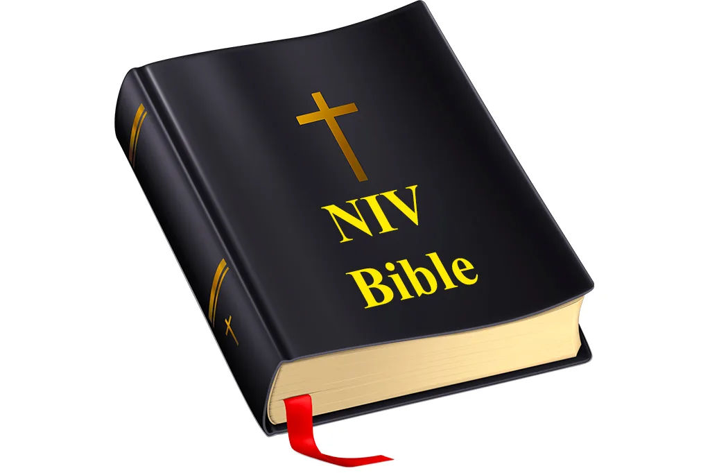 NIV Bible (Audio Bible)